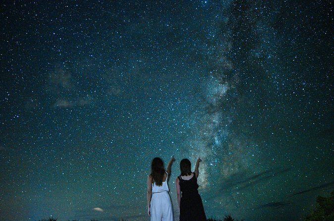 Miyako Island Jungle Night Tour and Starry Sky Viewing - Who Will Enjoy This Tour?