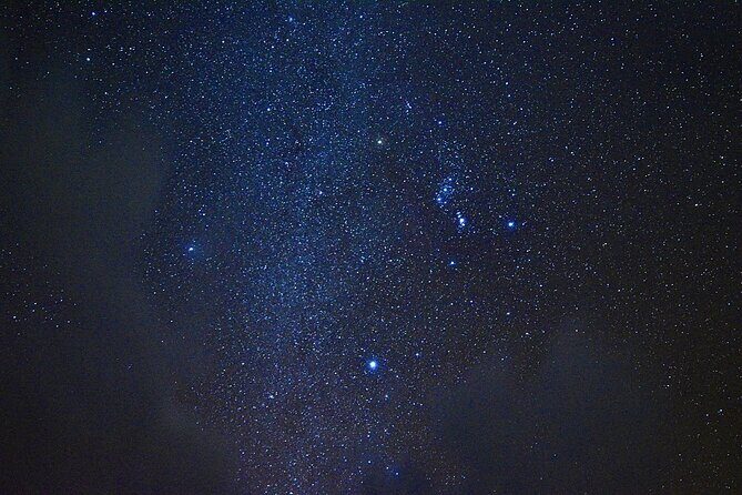 Miyako Island Jungle Night Tour and Starry Sky Viewing - FAQ
