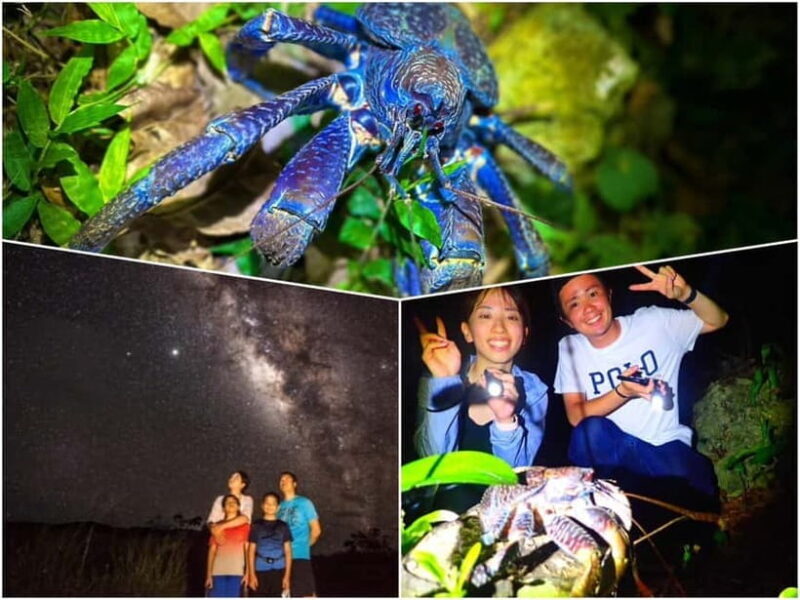 Miyako Island: Stars & Jungle Night Walking Tour - Final Thoughts: Is It Worth It?