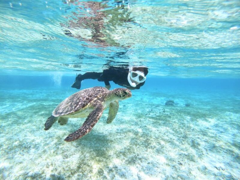 Miyako Island: SUP or Canoeing and Snorkeling Experience - Key Points