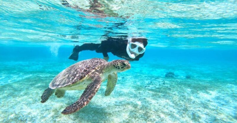Miyako Island: SUP or Canoeing and Snorkeling Experience - Discovering Miyako Island’s Marine Playground