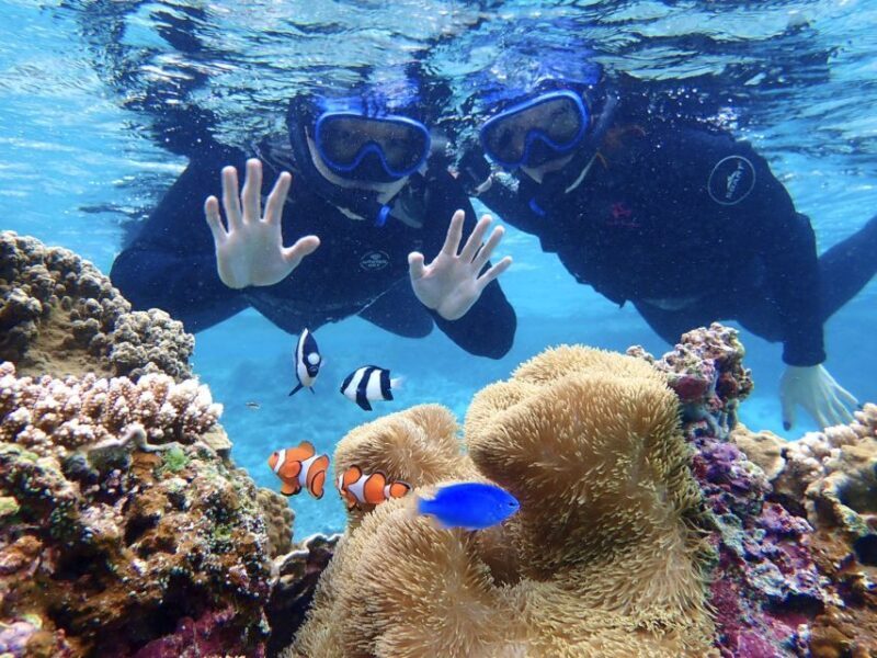 Miyako Island: SUP or Canoeing and Snorkeling Experience - The Reviews: What Travelers Say
