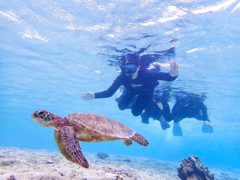 Miyako Island: SUP or Canoeing and Snorkeling Experience - Who Should Consider This Tour?