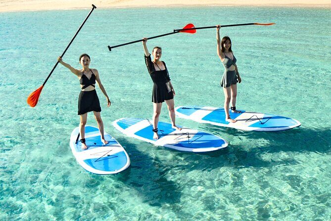 Miyako Two Activities in Half Day SUP and Sea Turtle Snorkeling - Practical Tips for Participants