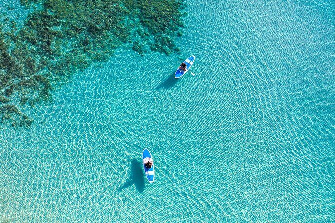 Miyako Two Activities in Half Day SUP and Sea Turtle Snorkeling - Authentic Marine Encounters and Guided Expertise
