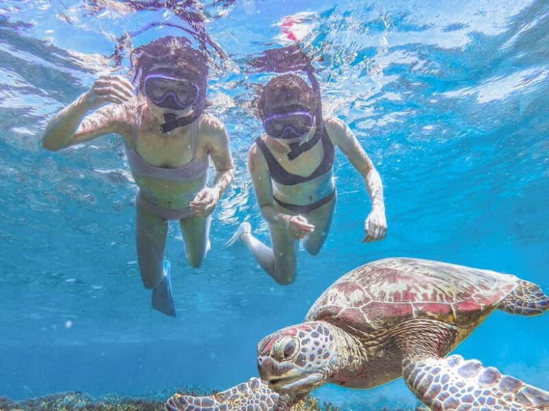 Miyakojima: SUP and Snorkeling- Two Activities in One Day - Key Points