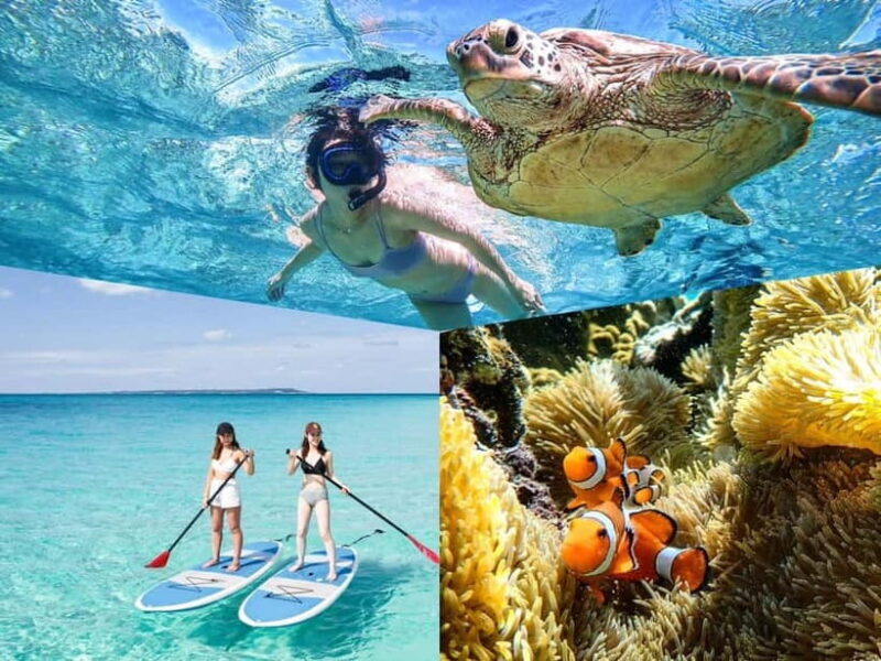 Miyakojima: SUP and Snorkeling- Two Activities in One Day - The Value of This Tour