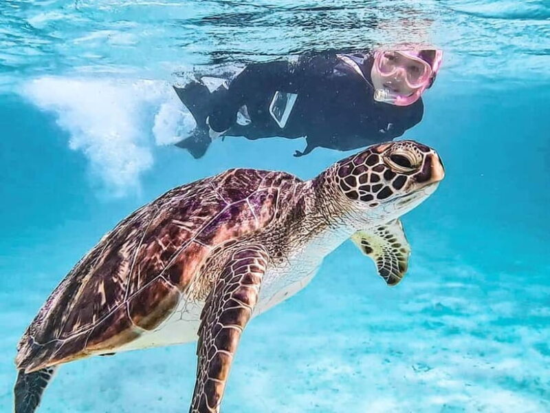 Miyakojima: SUP and Snorkeling- Two Activities in One Day - FAQ