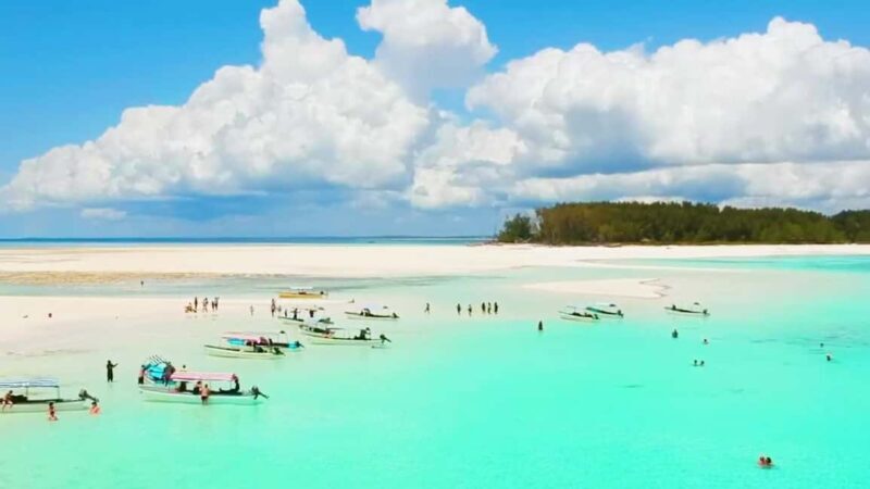 Mnemba atoll snorkeling - Tropical Fruits and Leisure Breaks