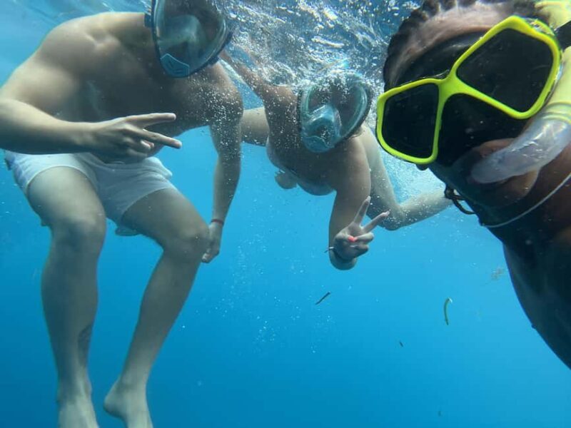 Mnemba dolphin & snorkel: from matemwe, pwani, kwingwa, Uroa - What Travelers Are Saying
