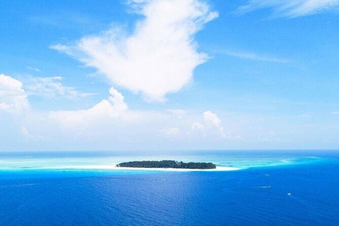 Mnemba Dolphin Tour, Jozani Forest Tour, The Rock, Prison Island - An In-Depth Look at the Itinerary