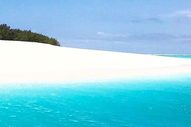 Mnemba Dolphin Tour; Stone Town Tour with Lunch; Jozani Forest - What Does It All Mean for You?