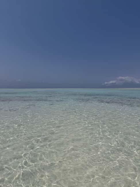 MNEMBA DOLPHIN TOUR, THE LAGOON AQUARIUM & KENDWA BEACH - A Closer Look at the Tour Itinerary