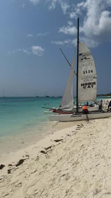 MNEMBA DOLPHIN TOUR, THE LAGOON AQUARIUM & KENDWA BEACH - The Experience’s Strengths and Considerations
