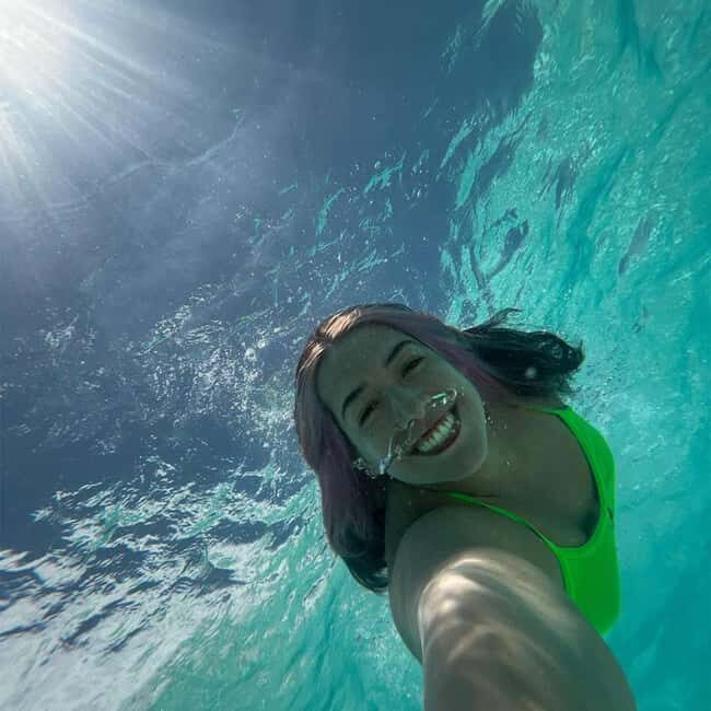 Mnemba Dolphin Watching & Prison Island Adventure With lunch - Key Points