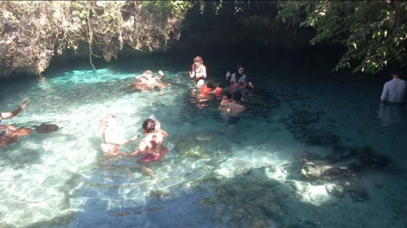Mnemba Island, Aquarium & Sunset Full-Day Tour (With Food) - A Day Packed with Marine Marvels and Sunset Serenity