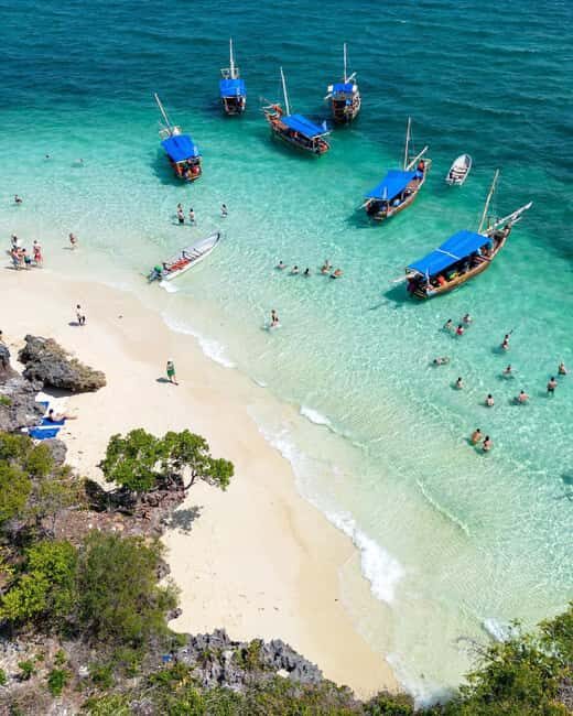 Mnemba Island: Dolphin & Snorkeling Trip with Lunch - An In-Depth Look at the Mnemba Dolphin & Snorkeling Tour