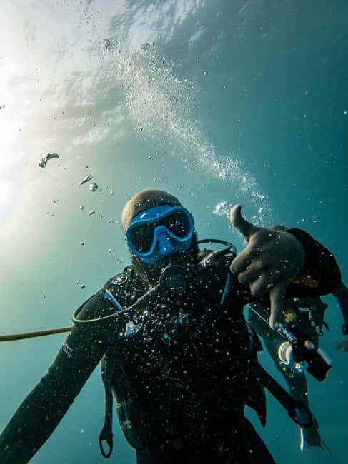 Mnemba Island: Dolphin & Snorkeling Trip with Lunch - Authentic Marine Encounters and Cultural Respect