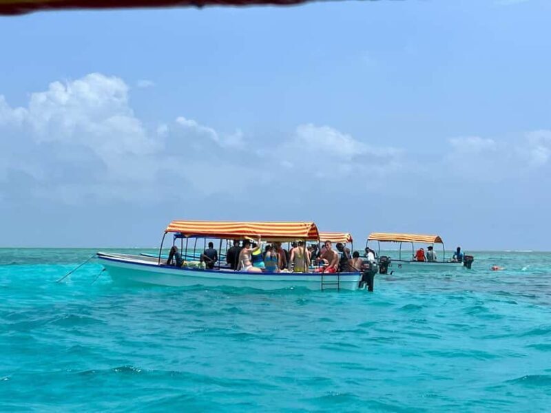 Mnemba Island: Dolphin Swim & Snorkeling with Lunch Option - Authentic Experiences and Local Culture