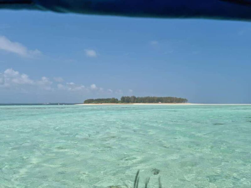 Mnemba Island: Dolphin Swim & Snorkeling with Lunch Option - The Sum Up: Who Should Consider This Tour?