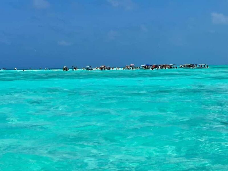 Mnemba Island: Dolphin Swim & Snorkeling with Lunch Option - FAQ