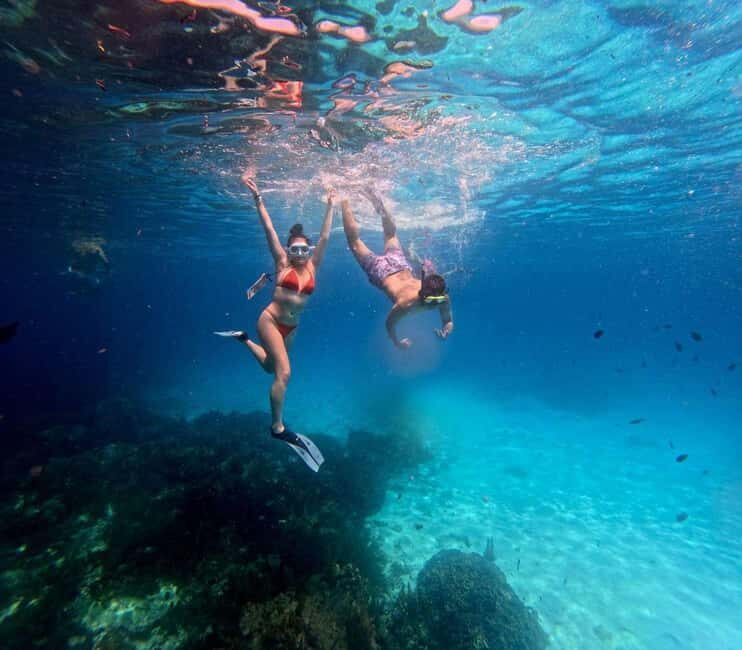 Mnemba Island: Dolphin Swim & Snorkeling with Lunch Option - Final Thoughts