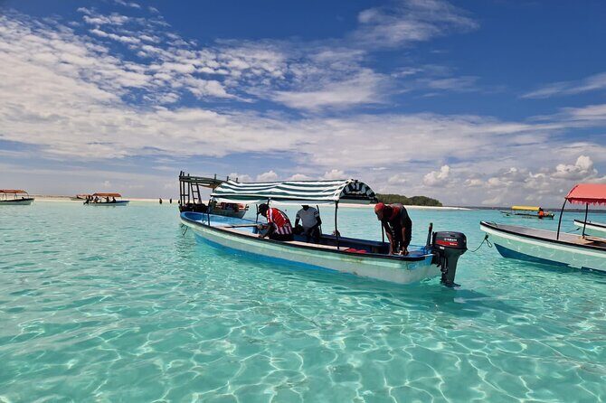 Mnemba Island Dolphin Tour and Stonetown Walking Tour - What to Expect from the Mnemba Island Stop