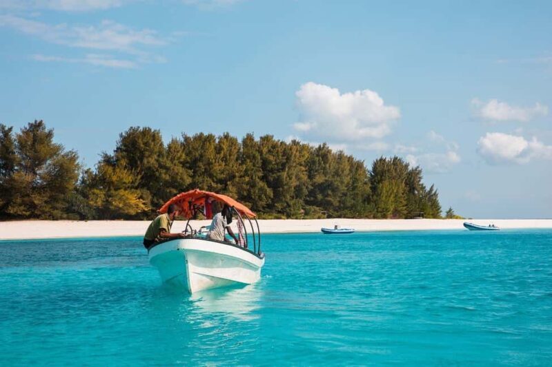 Mnemba island Dolphin tour, snorkeling with options of lunch - A Deep Dive into the Mnemba Island Dolphin Tour