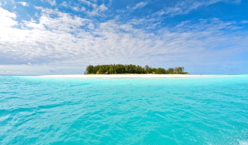Mnemba island Dolphin tour, snorkeling with options of lunch - What Does This Tour Offer in Terms of Value?