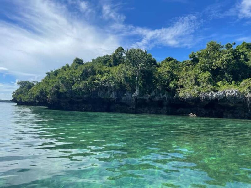 Mnemba island Dolphin tour, snorkeling with options of lunch - Practical Tips for Booking and Enjoying the Tour