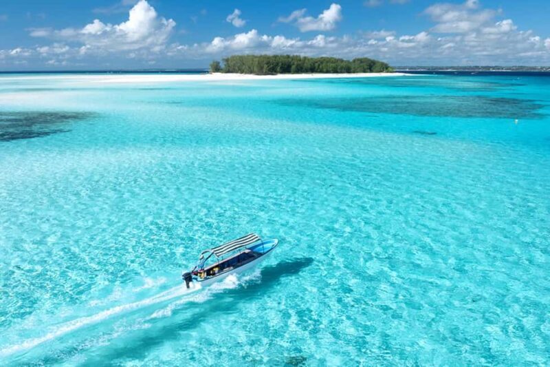 Mnemba Island: Guided Snorkeling & Dolphin Swim Experience - An In-Depth Look at the Mnemba Island Snorkeling & Dolphin Tour
