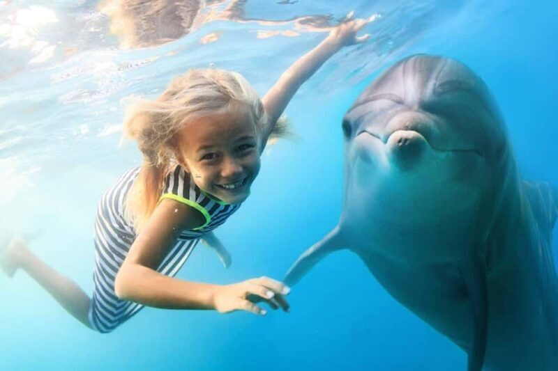 Mnemba Island: Guided Snorkeling & Dolphin Swim Experience - Final Thoughts