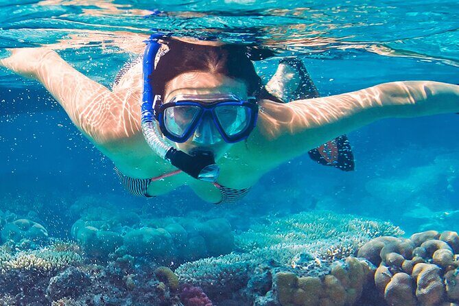 Mnemba Island Marine Safari Snorkeling and Dolphin Watching - FAQ