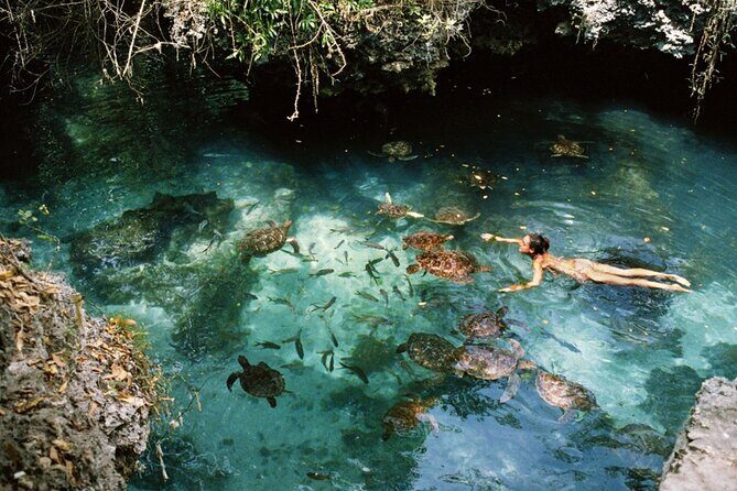 Mnemba Island, Nungwi Village & Sea Turtle Experience - Transportation, Timing, and Group Size