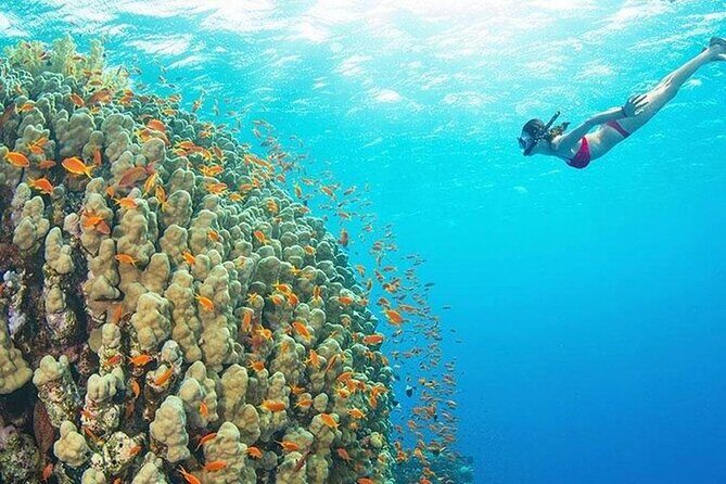 Mnemba Island, Nungwi Village & Sea Turtle Experience - The Sum Up: Who Will Enjoy This Tour Most?
