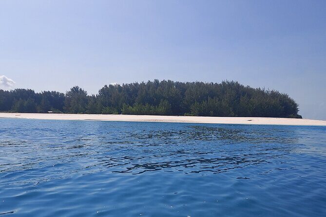 Mnemba Island Snorkeling and Dolphin tour - Exploring the Mnemba Island Snorkeling and Dolphin Tour: A Detailed Review
