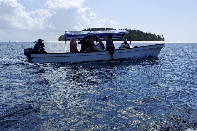 Mnemba Island Snorkeling and Dolphin tour - What’s Included and What’s Not