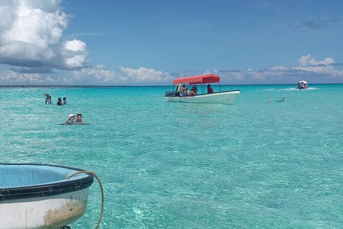 Mnemba Island Snorkeling and Dolphin tour - Final Thoughts