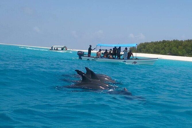 Mnemba Island snorkeling and Swimming with Dolphin - FAQs
