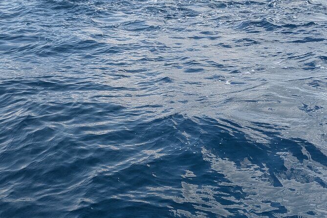 Mnemba Island Snorkeling and Swimming with Dolphins - Frequently Asked Questions