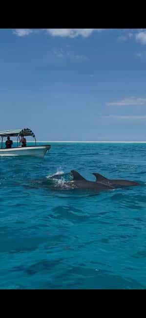 Mnemba Island Snorkeling, Dolphin Spotting & Lunch Option - Who Will Love This Tour?