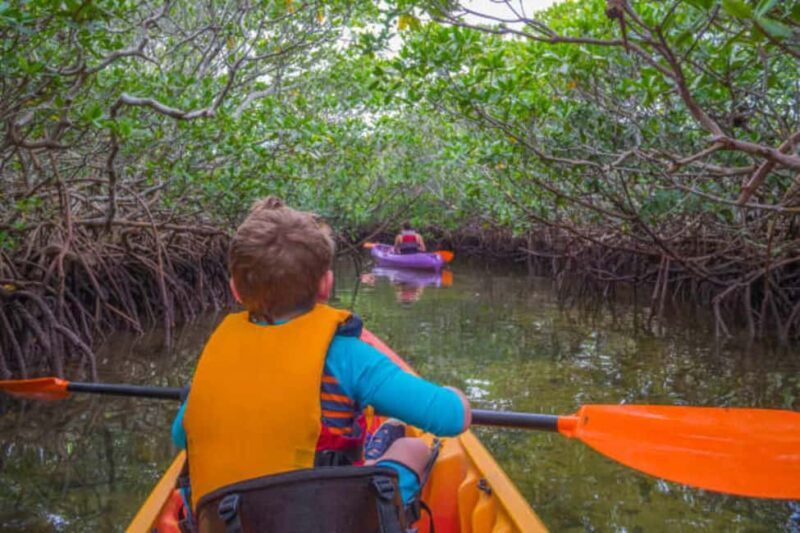 Mnemba Island Snorkeling, Sea Turtles & Jozani Forest - An In-Depth Look at the Tour