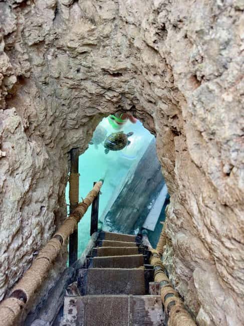Mnemba Island Snorkeling, Sea Turtles & Jozani Forest - FAQ