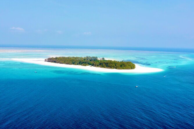 Mnemba island snorkeling tour - A Close Look at the Mnemba Island Snorkeling Tour