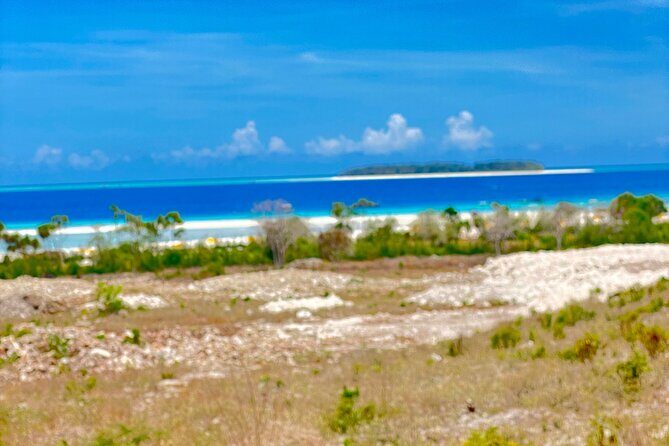 Mnemba island snorkeling tour - The Sum Up