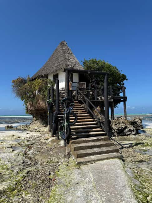 Mnemba Island, Turtle Tour, Kuza Cave, The Rock - Introduction: What This Tour Offers and Who It’s For