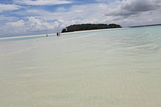 Mnemba Snorkeling, Dolphin and Baraka Natural Aquarium - Key Points