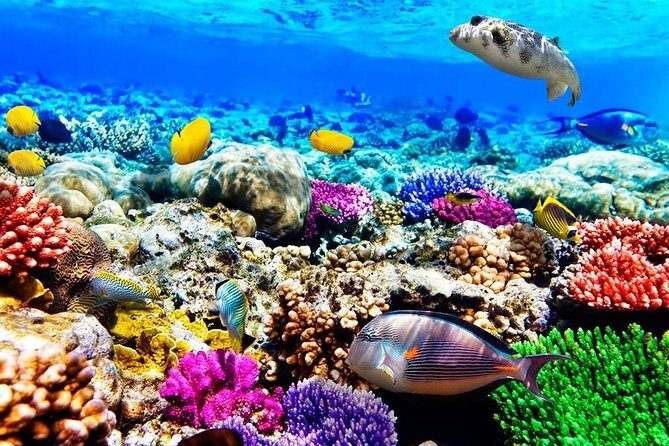 Mnemba Snorkeling; Kuza Cave; Paje Beach; The Rock; Salaam Cave - FAQ