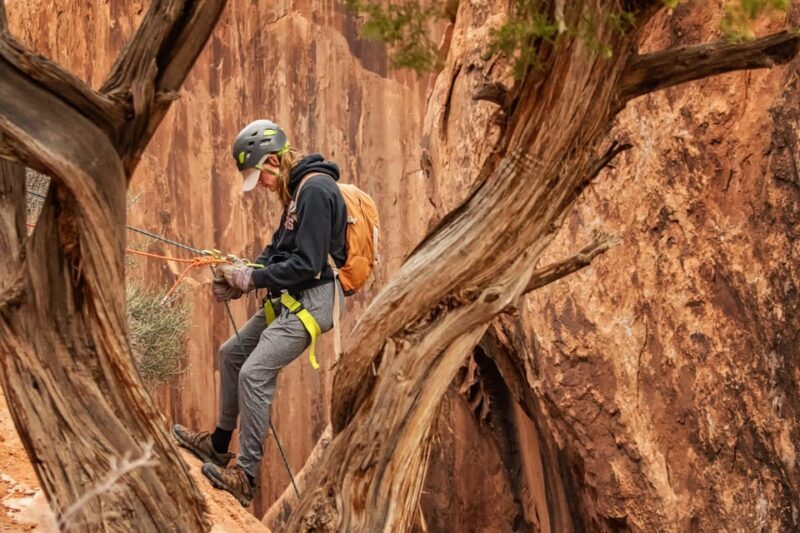 Moab: Fins and Things Canyoneering Adventure tour - An In-Depth Look at the Fins and Things Canyoneering Adventure