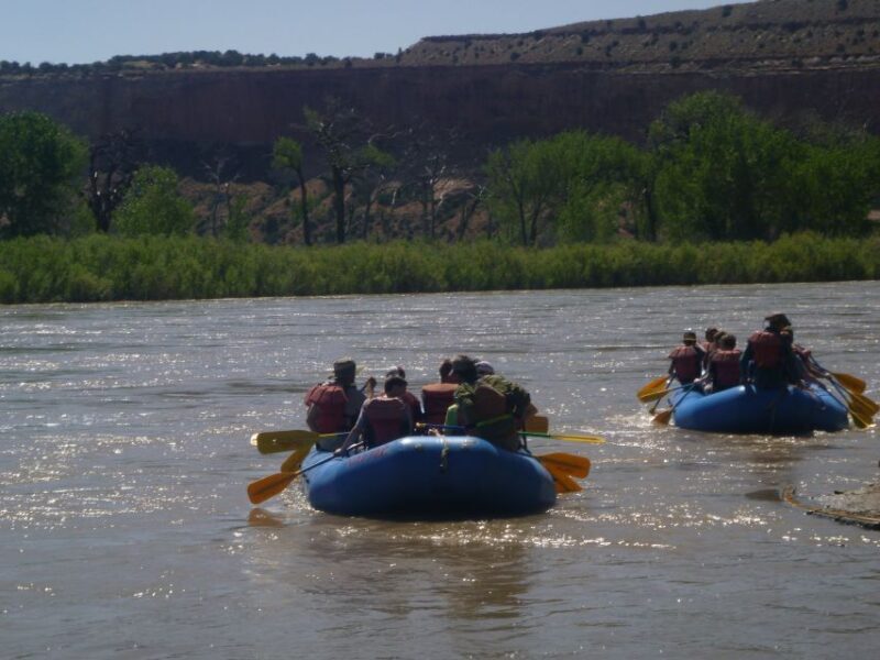 Moab: Full-Day Colorado Rafting Tour - An In-Depth Look at the Colorado River Rafting Experience